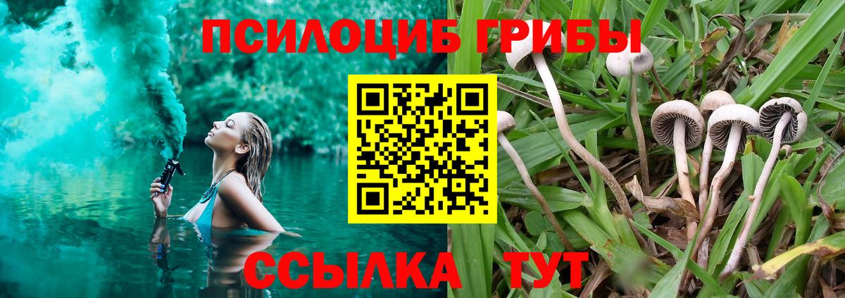 Псилоцибиновые грибы GOLDEN TEACHER Кумертау